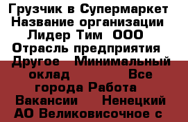 Грузчик в Супермаркет › Название организации ­ Лидер Тим, ООО › Отрасль предприятия ­ Другое › Минимальный оклад ­ 19 000 - Все города Работа » Вакансии   . Ненецкий АО,Великовисочное с.